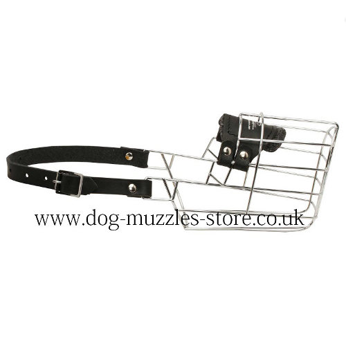 Collie Basket Muzzle for Dogs