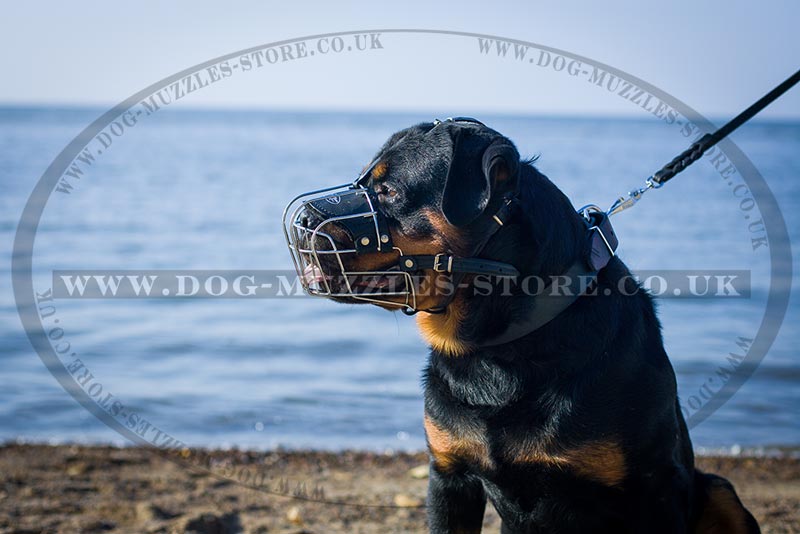 Wire Basket Muzzle For Rottweiler