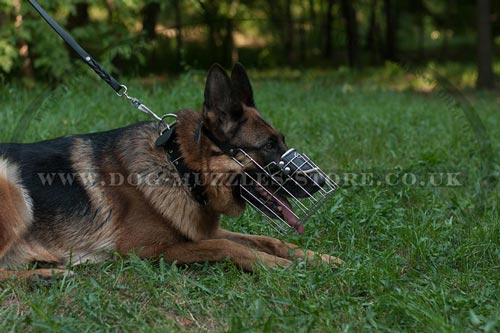 Buy German Shepherd Muzzle UK