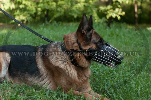 German Shepherd Muzzle for Dogs Comofort