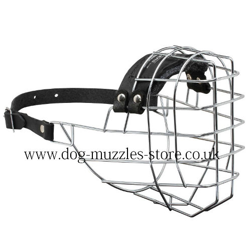 The Best Muzzle for German Shepherd UK