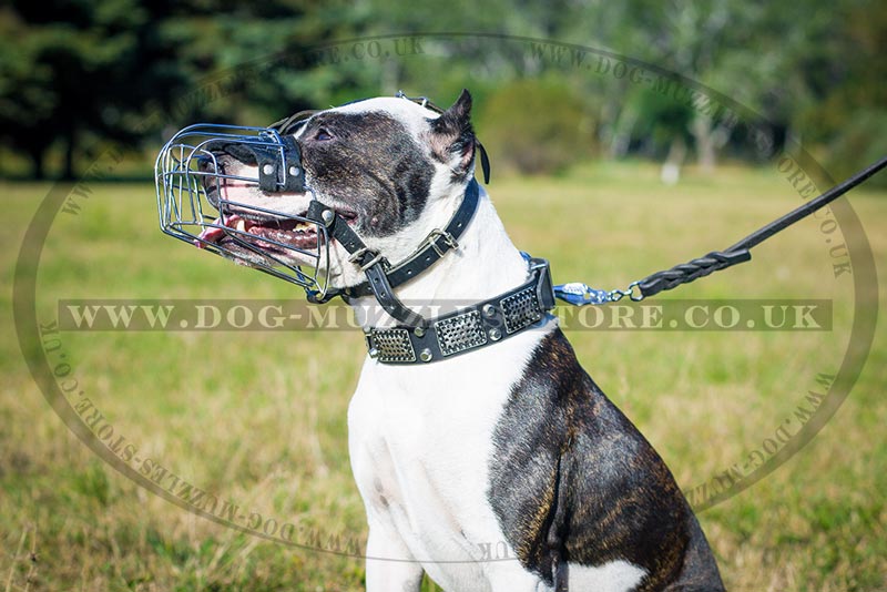 Wire Basket Muzzle For Pitbull