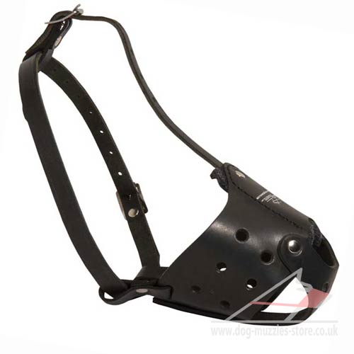 Dog Leather Muzzle for Shepherd Dogs