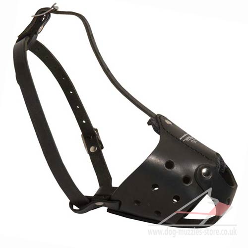 leather dog muzzle