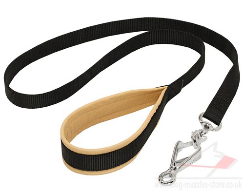 Walking Dog Leash