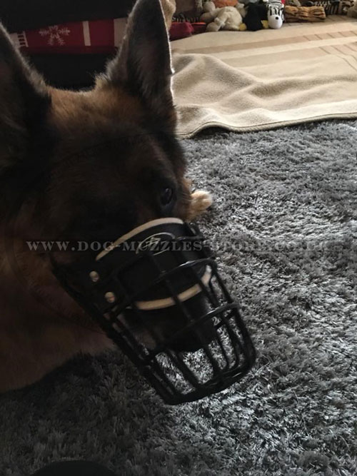 Wire Dog Muzzle Covered with Black Rubber UK