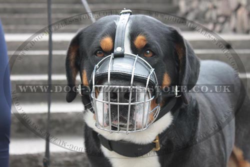 Dog Muzzle Basket Type