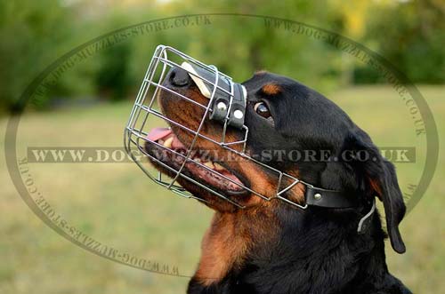 The best dog muzzle for Rottweiler