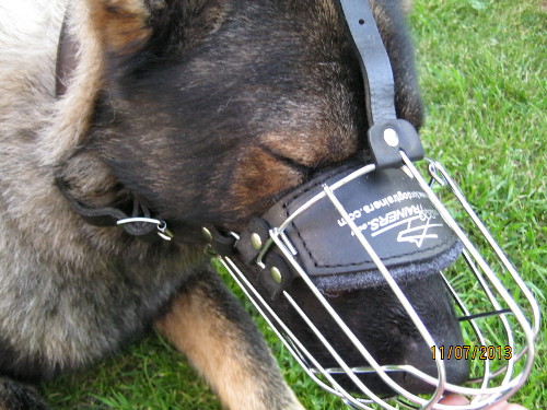 GSD Training Basket Dog Muzzle
