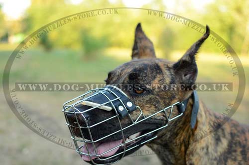 Wire Dog Muzzle for Great Dane Dog Size