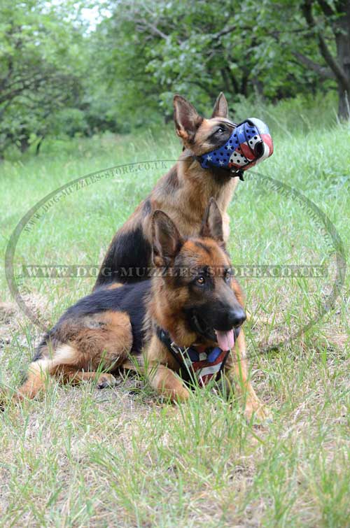 Working dog muzzle