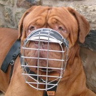 Dogue De Bordeaux Muzzles UK Bestsellers