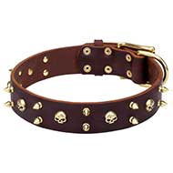 Exquisite Handmade Leather Dog Collar with Brass Spikes&Skulls