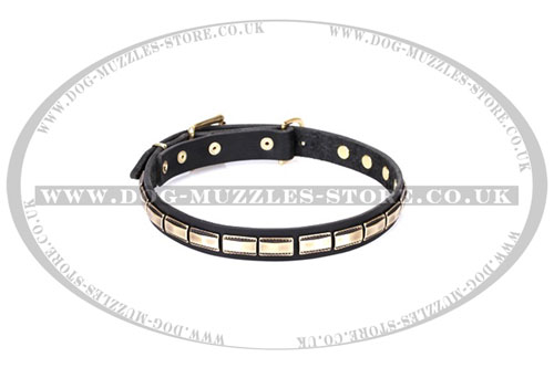 elegant dog collar Artisan UK
