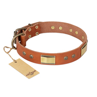 New Decorated Dog Collar FDT Artisan 'Enchanting Spectacle' New Decorated Dog Collar FDT Artisan 'Enchanting Spectacle'
