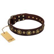 "Triumph Spirit" Brown Leather Dog Collar with Brass Medals