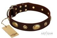 Walking Wide Brown Leather Dog Collar by FDT Artisan