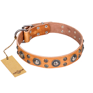 Stylish Dog Collar FDT Artisan with Studs 'Extra Sparkle' Stylish Dog Collar FDT Artisan with Studs 'Extra Sparkle'