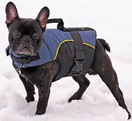 Buy French Bulldog Clothes: Warm Dog Harness with Carry Handle
