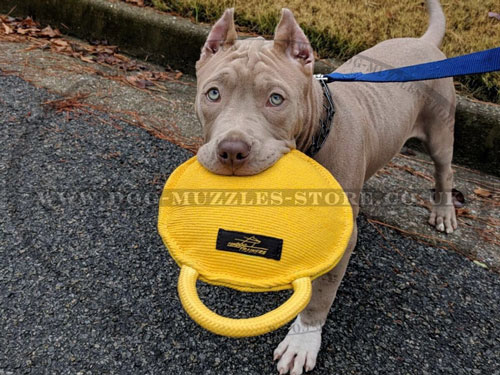 buy dog bite tug for Pitbull