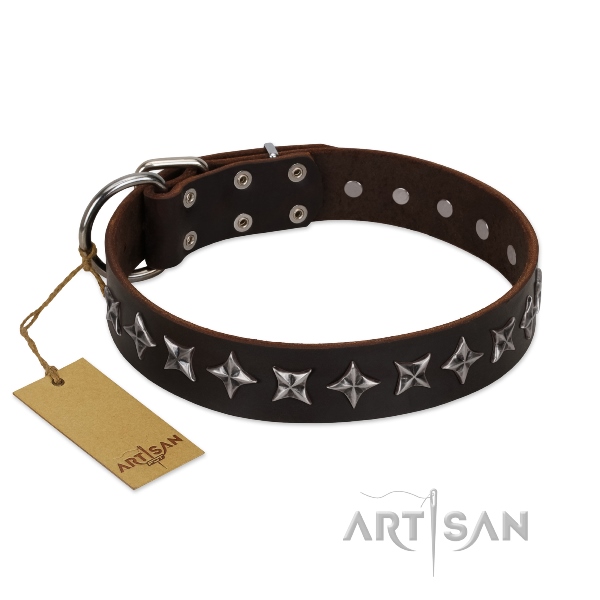 Durable Rock Star Dog Collars from FDT Artisan