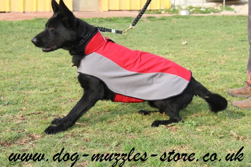 german Shepherd coat