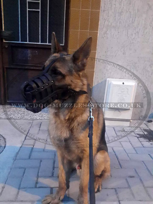German shepherd Muzzle for Dogs Chewing