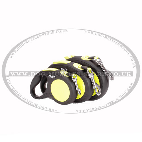 best dog lead with reflective tape