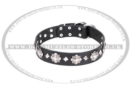 gorgeous leather dog collar buy UK