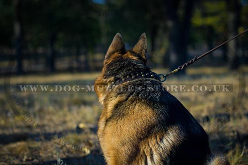New Leather Dog Collar for German Shepherd 'Galaxy Trip'