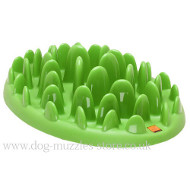 NEW Dog Feeder for Small and Medium Dogs - Treat Dispenser NEW Dog Feeder for Small and Medium Dogs - Treat Dispenser