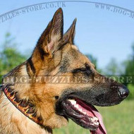 Luxury Handpainted German Shepherd Collars Flame