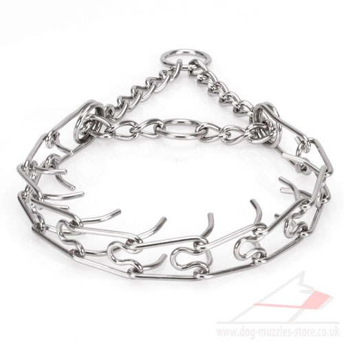 buy dog chain prong collar online