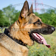 Nylon Collars for German Shepherds, with Glossy Pyramids