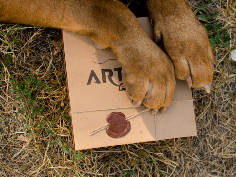 How To Trim Dog Claws