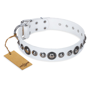 Fantastic Decorated Dog Collar FDT Artisan 'Ice Age' Fantastic Decorated Dog Collar FDT Artisan 'Ice Age'