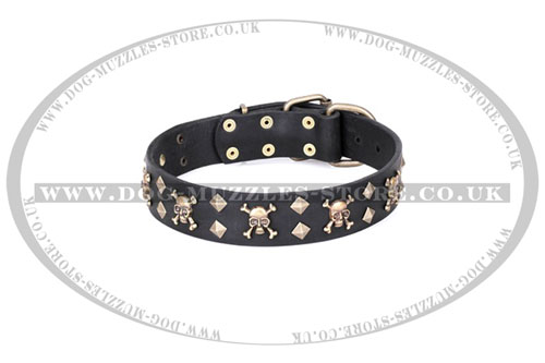 Artisan leather pirate dog collar buy online