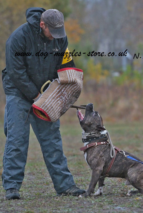 dog biting training arm sleeve