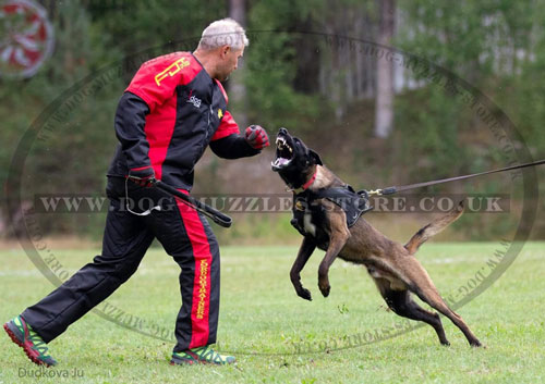 IPO Suit for Dog Training