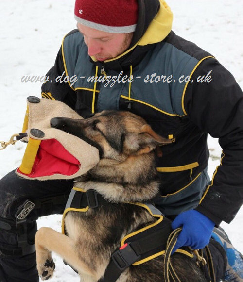 Puppy Training Jute Bite Pad