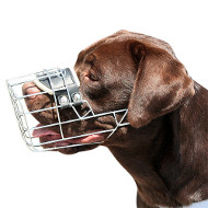 Labrador Dog Wire Muzzle