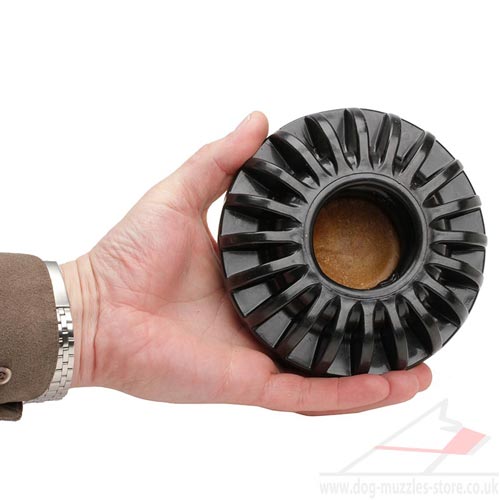 dog chewing toy