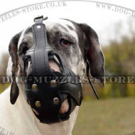 Large Dog Muzzle for Great Dane | Dog Muzzles for Sale