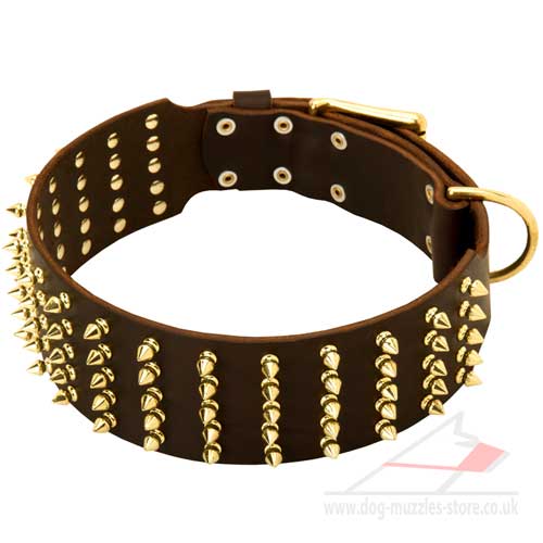 Extra Wide Dog Collar with Luxury Brass Spikes - Click Image to Close