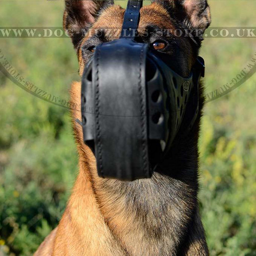 Agitation Dog Muzzle UK | Belgian Malinois Muzzle K9 - Click Image to Close