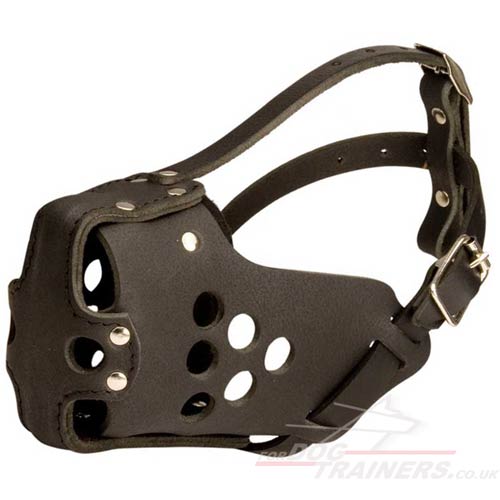 Strong Leather Dog Muzzle for K9 Dogs Attack Training - Click Image to Close