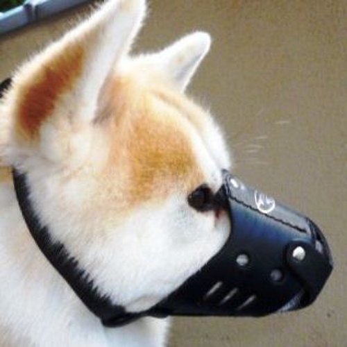 Akita Husky Leather Dog Muzzle | The Best Husky Muzzles - Click Image to Close