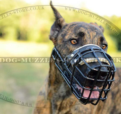 Rubber Dog Muzzle for All Weather Use | Great Dane Muzzle - Click Image to Close