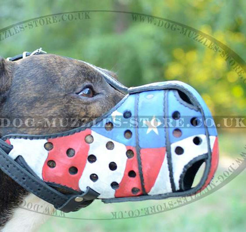 American Staffordshirre Terrier Muzzle for Attack and Agitation - Click Image to Close