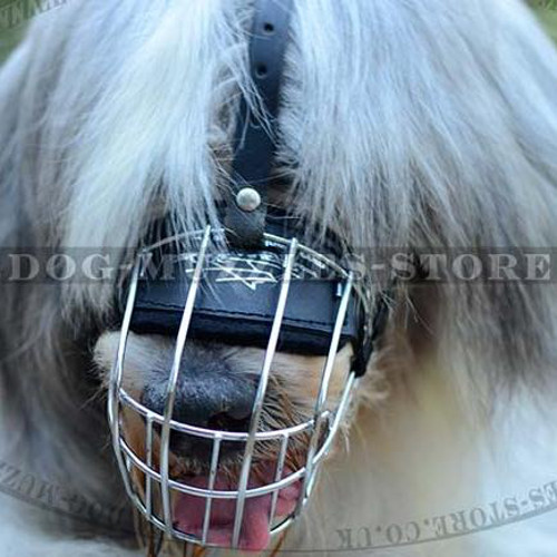 South Russian Shepherd Basket Dog Muzzle - Click Image to Close